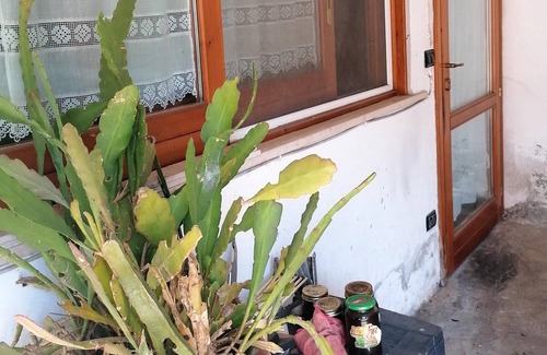 San Mauro Pascoli Apartment | Homerez - Appartement 3 km away from the beach for 4 ppl. at San Mauro Pascoli