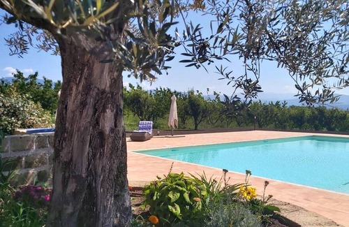Segni Villa | Homerez - Big villa for 24 ppl. with swimming-pool, garden and terrace at Segni