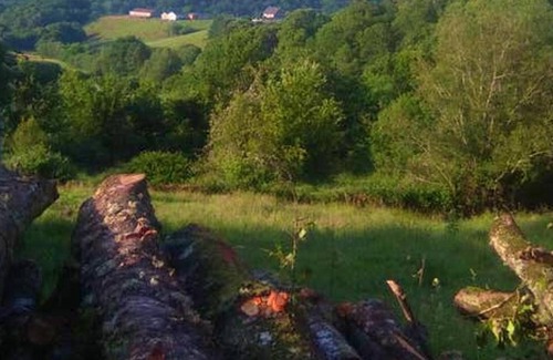 Chantada House | Homerez - Spacious house for 8 ppl. at Lugo, Galicia