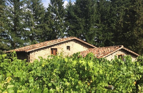 Barga Villa | Homerez - Villa in Barga with pool