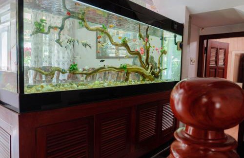 Tuy Hoa Apartment | Homestay King Villa Phú Yên