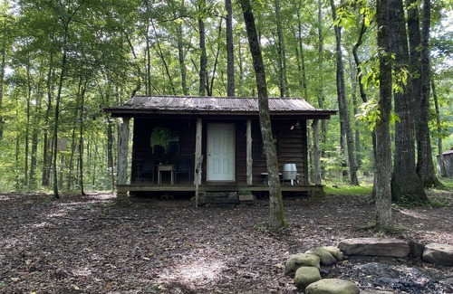 Pettigrew Cabin | Homestead Cabin in the Ozarks, w/a view!