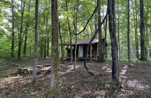Pettigrew Cabin | Homestead Cabin in the Ozarks, w/a view!