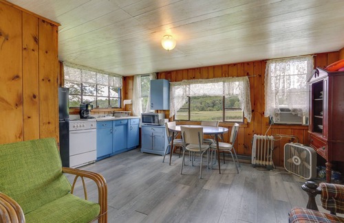White Mills Cabin | Honesdale Cabin: 110 Shared Acres, Animal Rescue!