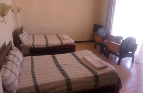 Lalibela Hotel | Honey Land Hotel Lalibela
