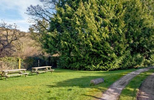 Newton Abbot House | Honeybags-Uk12422