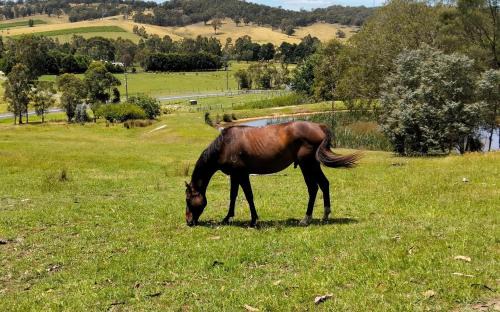 Yarra Glen House | Honeycomb Hill of Yarra Valley