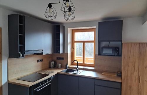 Karlovy Dvory Apartment | Horní Planá - Hůrka Apartmán Hannzi