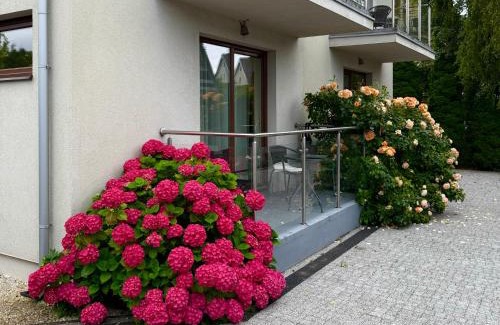 Jastarnia House | HORN Jastarnia