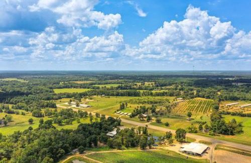 Pittsburg House | Horses Welcome Pittsburg Home Near Wineries!