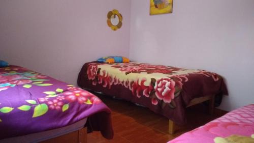 Yanama Cabin | Hospedaje Illariy