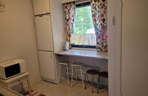 Ruka Apartment | Hossanraitti