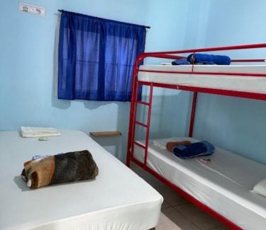 Colon House | HOSTAL BLUE OASIS AQUAMAr