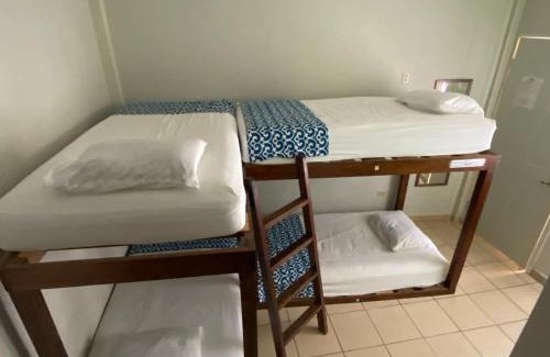 Zona Centro House | Hostal Casa Huasteca