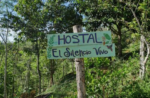 San Rafael House | Hostal El Silencio Vivo