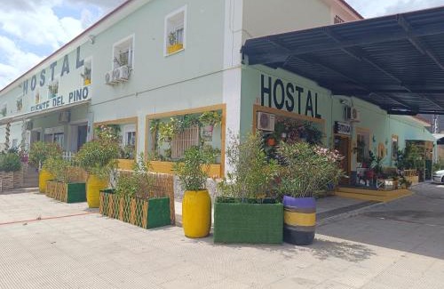 Jumilla House | Hostal Fuente del Pino