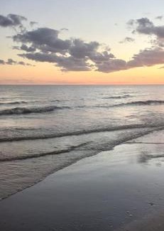 Playa Santa Ana Hotel | Hosteria Don Guillermo
