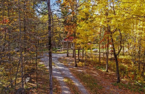 Campbellford Ski Chalet | Hot Tub/ Cottage on Crowe River / Acc 6 guests