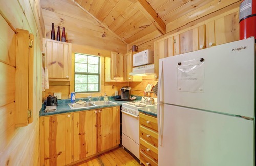 Vein Mountain Cabin | Hot Tub & On-Site Trails: Secluded Marion Cabin