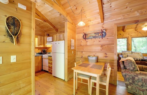 Vein Mountain Cabin | Hot Tub & On-Site Trails: Secluded Marion Cabin