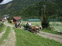 Duernstein in der Steiermark Hotel | Hotel ∙ 1 bedroom ∙ 3 guests