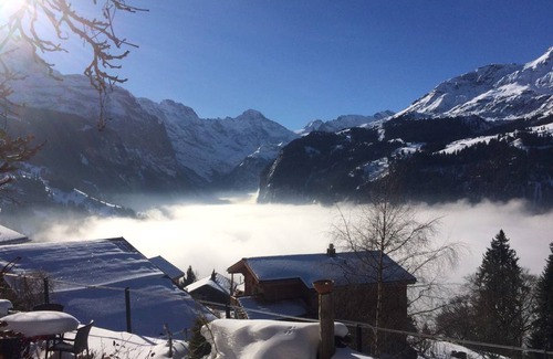 Wengen Hotel | Hotel ∙ 1 guest