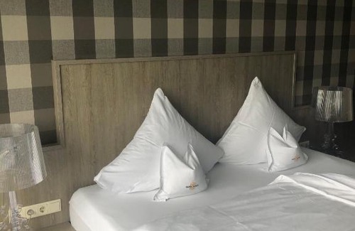Olpe Hotel | Hotel Albus