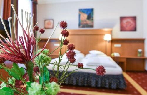 Wels Hotel | Hotel Alexandra