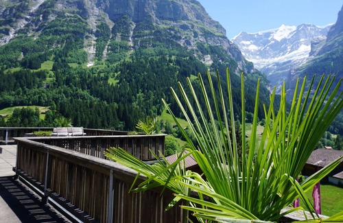 Grindelwald Cabin | Hotel Alpenblick