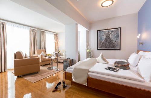 Olten Hotel | Hotel Amaris