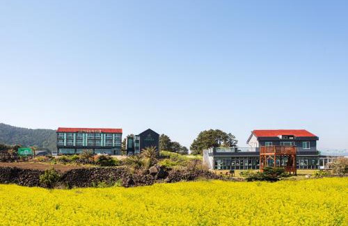 Jongdal-ri Hotel | Hotel Amor