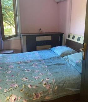 Zugdidi Apartment | Hotel Anri