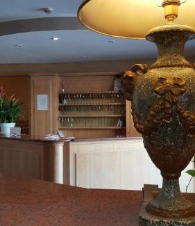 Binasco Hotel | Hotel Ascot