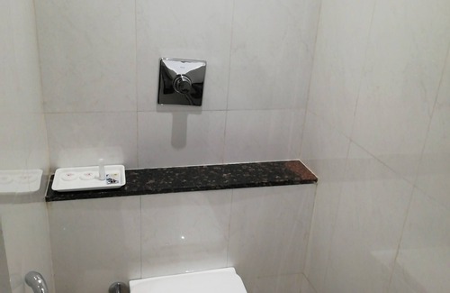 Bhilai Hotel | Hotel Ashish International