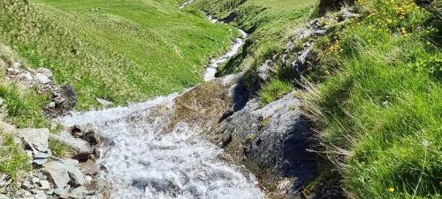 Avers Hotel | Hotel Avers