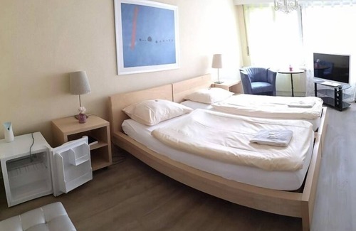 Neuhausen am Rheinfall Hostel | Hotel & Backpackers Zak