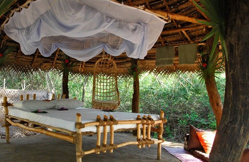 Udawalawa Resort | Hotel backyard facing to udawalawe National Park.