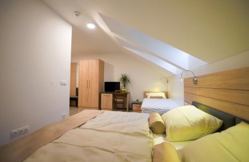 Smlednik Hotel | HOTEL BARON