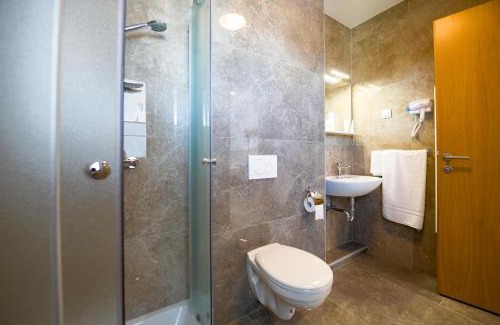 Smlednik Hotel | HOTEL BARON