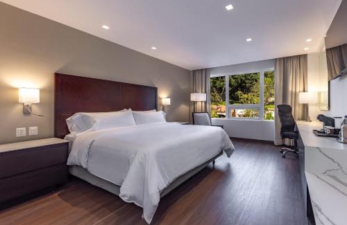 Zona 10 Hotel | Hotel Biltmore