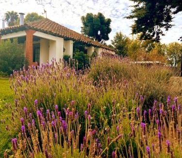 Cauquenes Bed & Breakfast | Hotel Boutique Casona Oriente