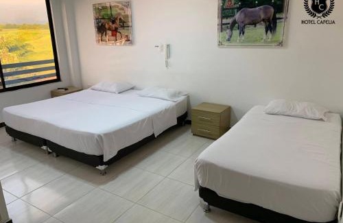 Pereira Hotel | Hotel Cafelia