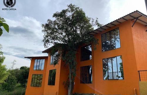 Pereira Hotel | Hotel Cafelia