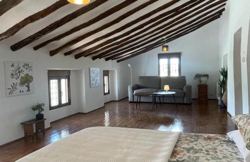 La Almudema Hotel | Hotel Casa Pedro Barrera