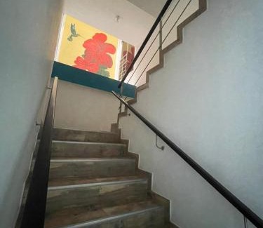 Tame Hotel | Hotel Cayena