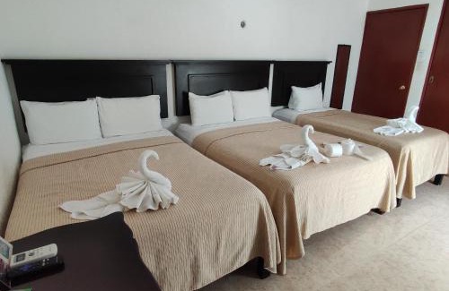 Campeche Hotel | Hotel CEO Group