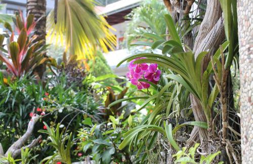 La Digue Hotel | Hotel Chateau St Cloud