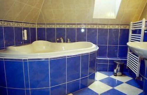 Jindrichuv Hradec Hotel | Hotel Concertino Zlatá Husa