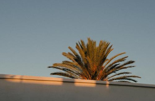 Erriadh Bed & Breakfast | Hotel Dar Dhiafa