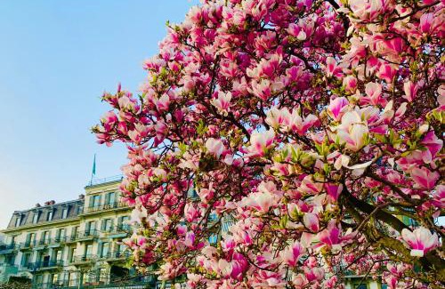 Vevey Hotel | Hôtel Des Trois Couronnes & Spa - The Leading Hotels of the World